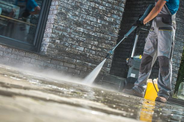 Best Roof Washing  in Chenango Bridge, NY