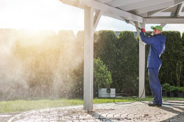Best Soft Washing  in Chenango Bridge, NY