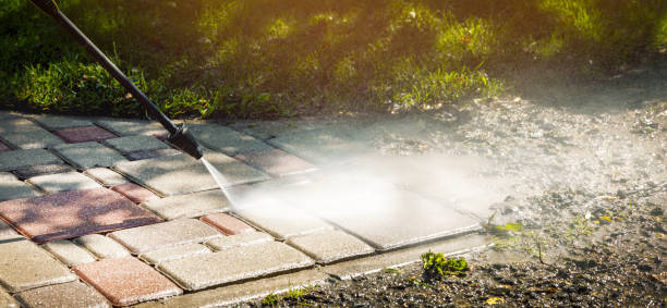 Animal Enclosure Cleaning in Chenango Bridge, NY